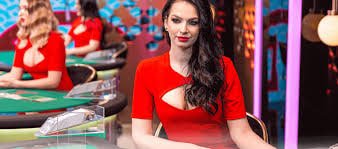 ক্রিকেট বিশ্লেষণ গাইড – topwin71 পরিসংখ্যান ও তথ্য